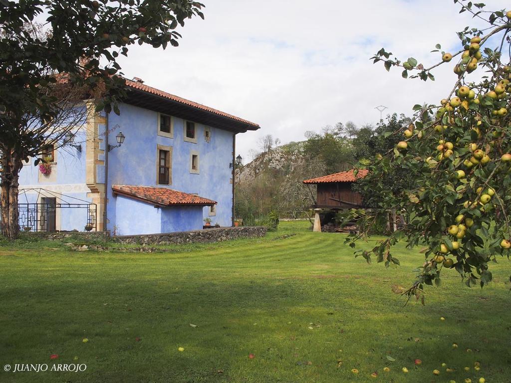 Hotel Rural Sucuevas (Adults Only) Llano-Con Buitenkant foto