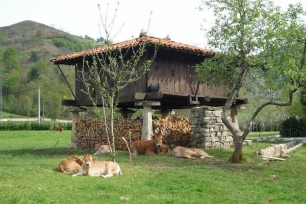 Hotel Rural Sucuevas (Adults Only) Llano-Con Buitenkant foto