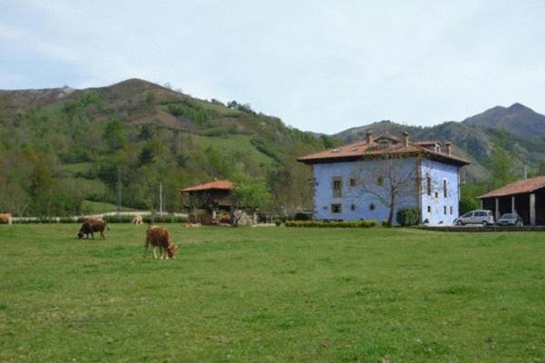 Hotel Rural Sucuevas (Adults Only) Llano-Con Buitenkant foto